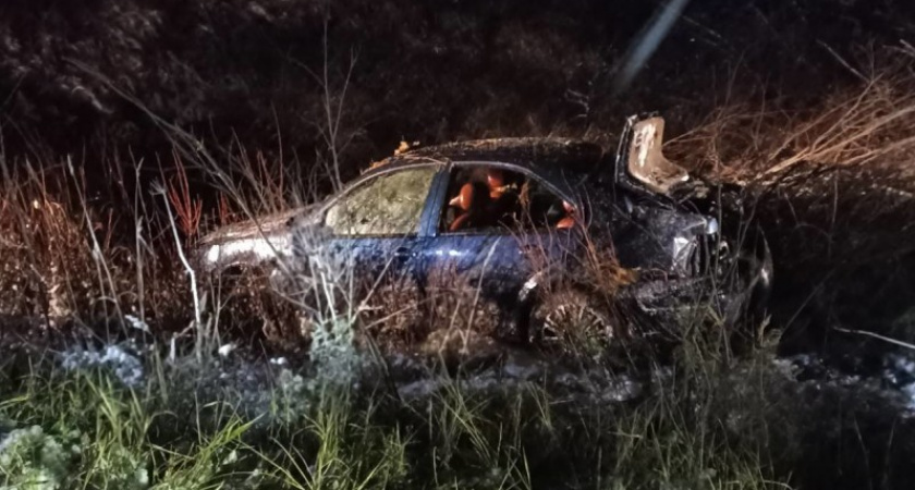В болоте под Сосногорском погиб водитель