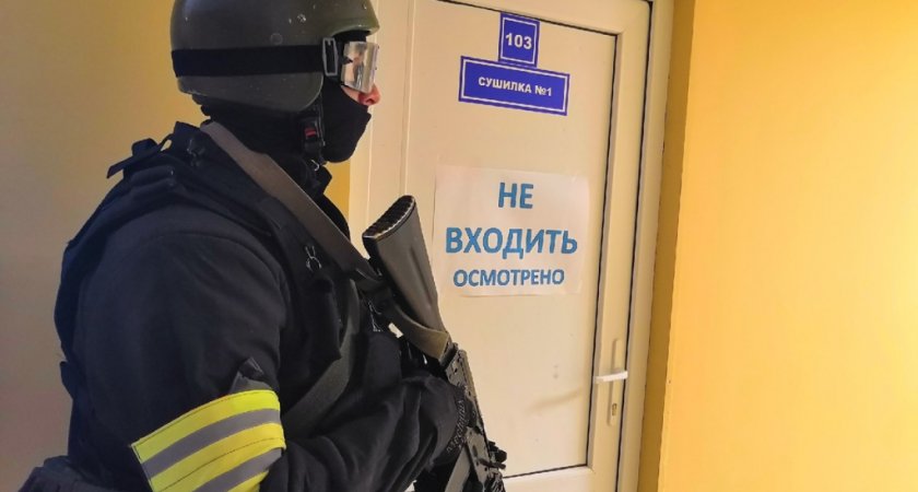  В Коми задержали экстремистов, связанных с украинскими неонацистами