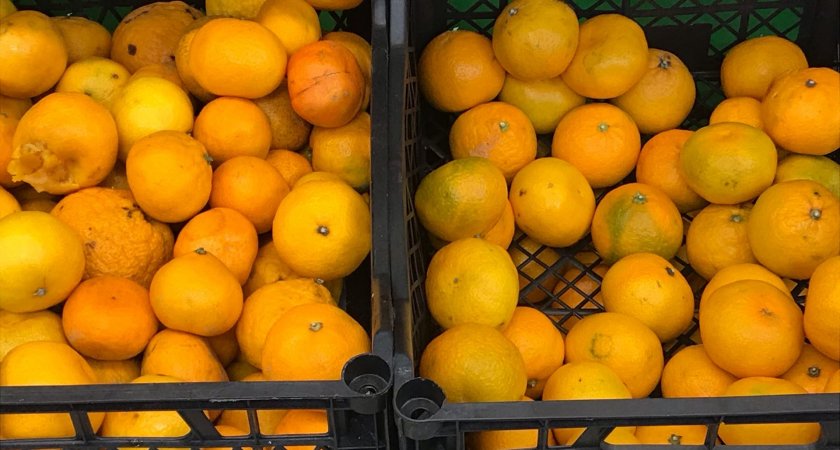 Обзор: сколько стоят мандарины в разных магазинах Сыктывкара