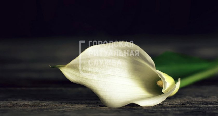 Умер человек – ваши действия