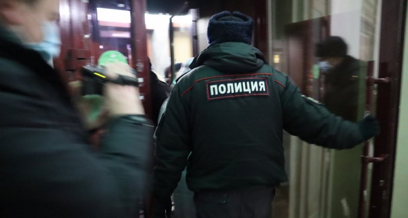 «Звал смотреть щеночков»: в Выльгорте мужчина в маске пытался заманить мальчика