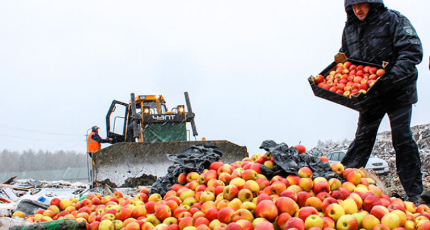 В России предложили запретить уничтожать санкционную еду