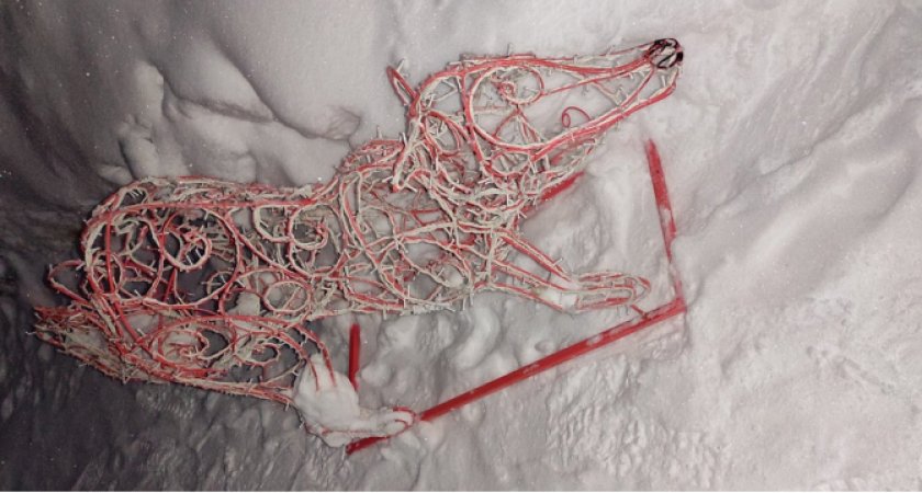 Сыктывкарцы, которые украли новогоднюю лису, рассказали, что хотели украсить двор