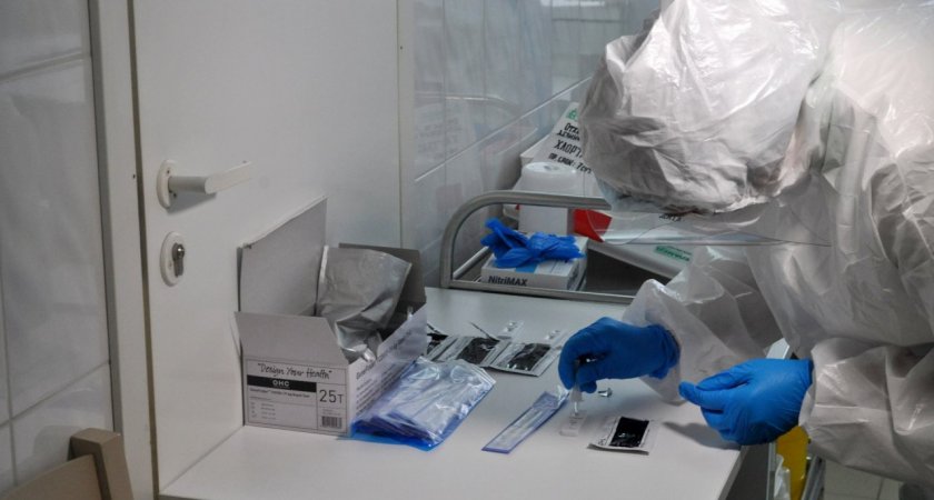 В России начнут выдавать QR-коды при наличии антител к ковиду