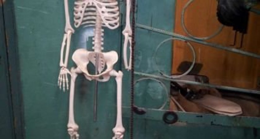 Икона за шесть миллионов и скелет «Йорик»: что продают сыктывкарцы