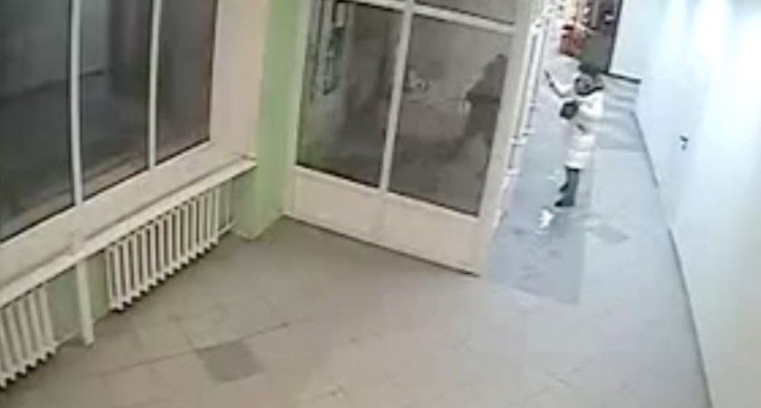 Стали известны подробности нападения на женщину в торговом центре Сыктывкара