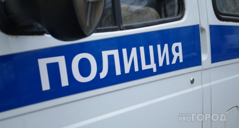 Полиция Сыктывкара ищет водителя, который звал детей в машину