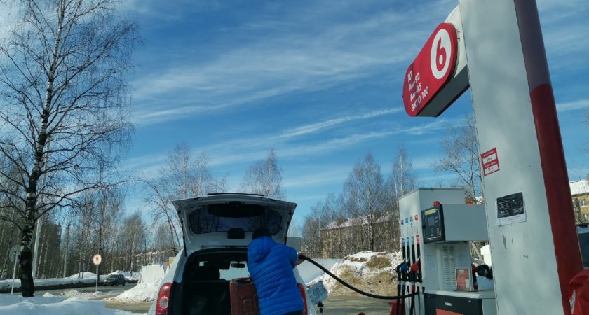 В России предложили регулировать цены на бензин