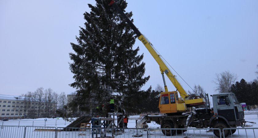 В Сыктывкаре установили елку на Стефановской площади