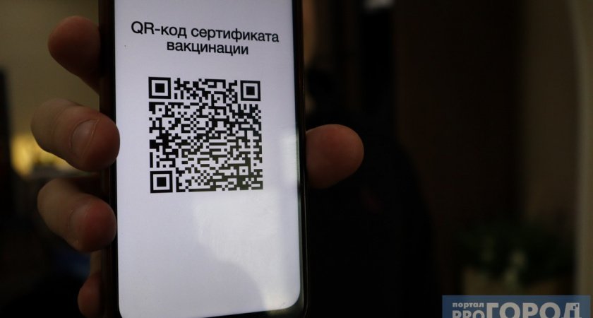 В России готовят законы о QR-кодах в транспорте, кафе и магазинах