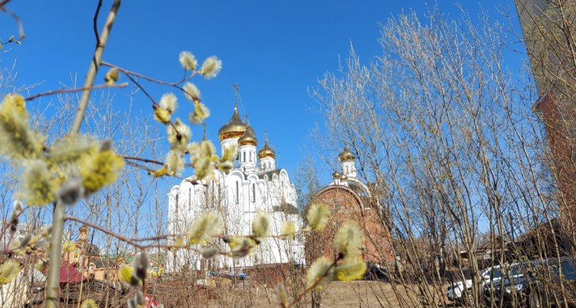 Синоптики пообещали жителям Коми аномально жаркую неделю