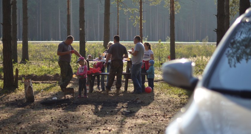 Каждый второй житель Коми проведет майские выходные дома