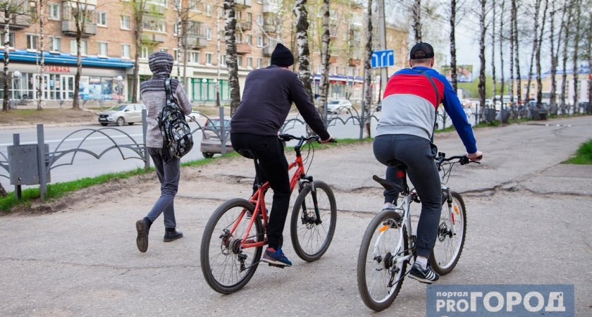 "Количество ДТП с велосипедистами растет": как этот транспорт угрожает жизни сыктывкарцев