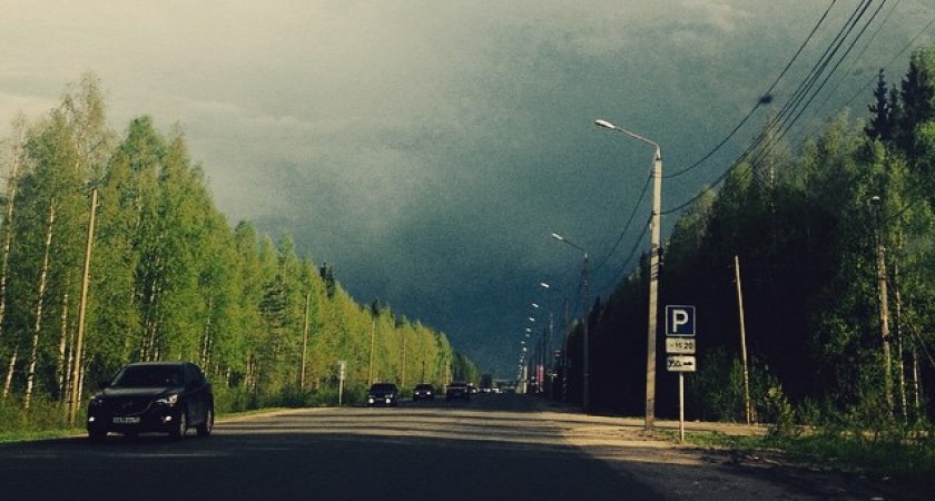 Жара и дожди: синоптики дали прогноз на июнь в Коми