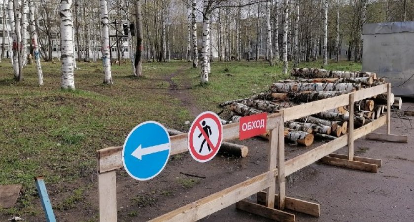 В мэрии Сыктывкара объяснили, зачем спилили деревья за школой №38