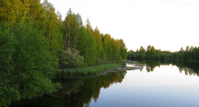 По факту гибели подростка на реке в Коми начали проверку