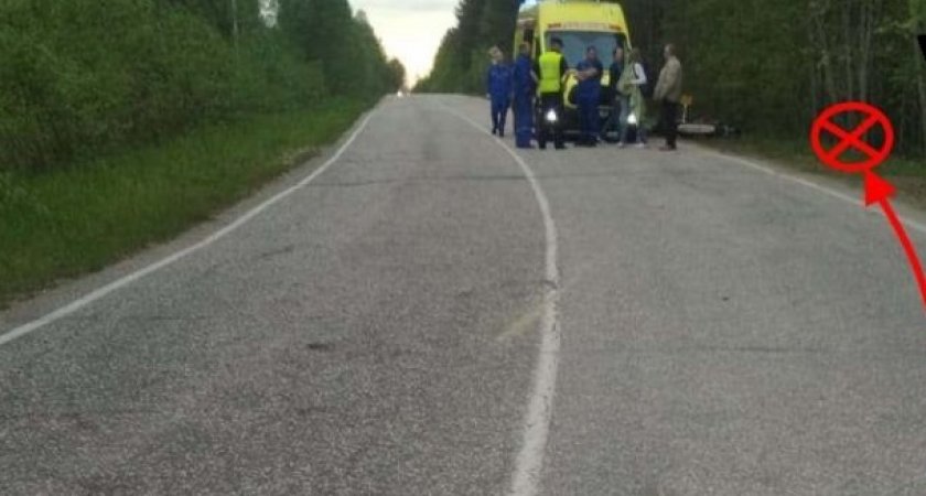Под Сыктывкаром мотоциклист насмерть разбился об дерево