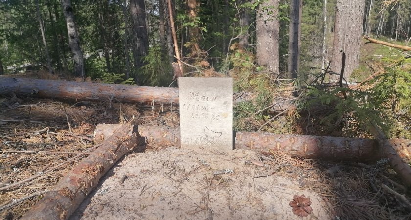 Шесть маленьких могилок: сыктывкарка наткнулась в лесу на кладбище домашних животных