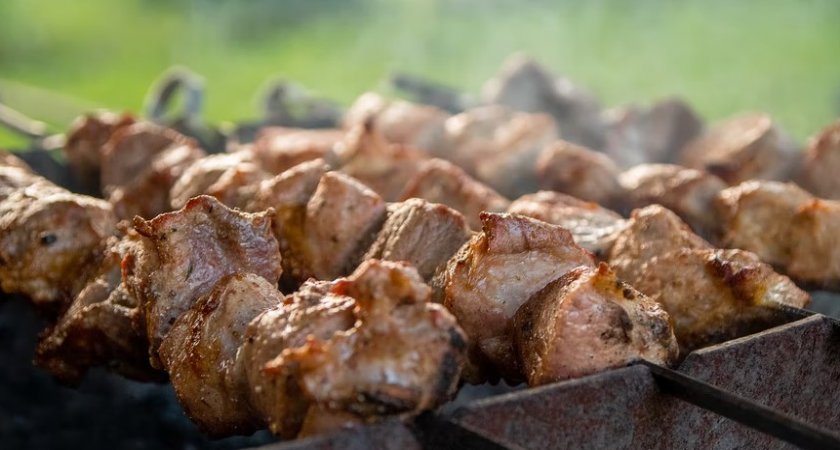 Как провести пикник экологично: советы сыктывкарского специалиста