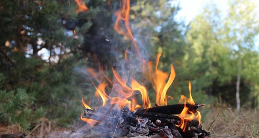 Жителям Коми запретили ходить в лес