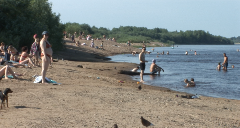Почему закрыты пляжи. Пляж Лемью Сыктывкар. Люди на пляже. Купаются на пляже. Люди купаются в реке.