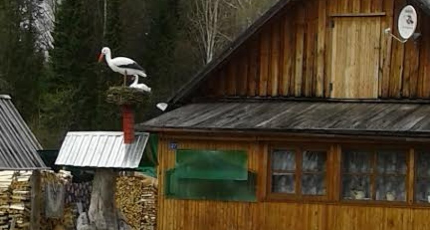 Россияне смогут купить дачу в ипотеку под 3%