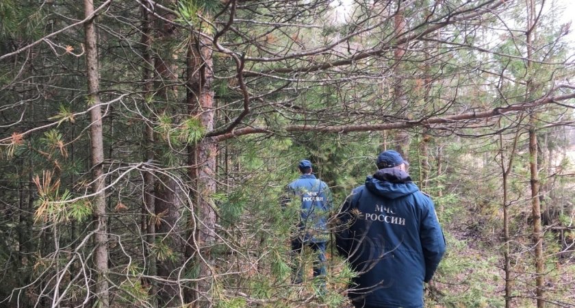 В лесах Коми отменили режим чрезвычайной ситуации