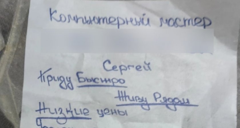 Сыктывкарец удалил 34 вируса на телефоне пенсионерки за 40 000 рублей