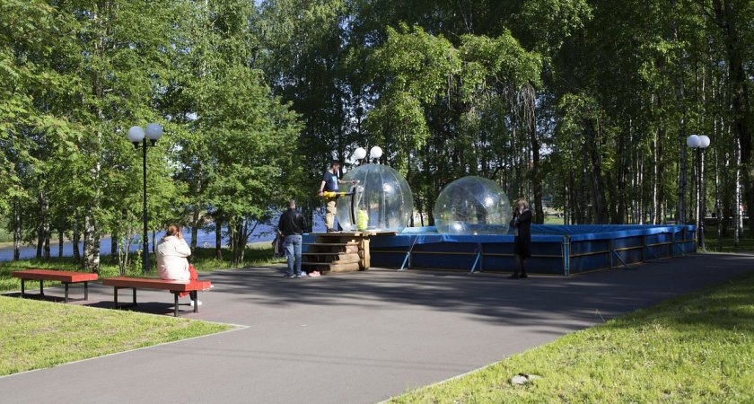 Жителям Коми рассказали, как правильно защитить детей от клещей