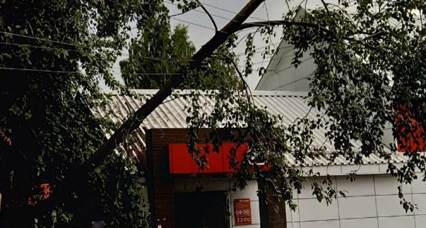 Из-за шторма один из районов Сыктывкара остался без электричества