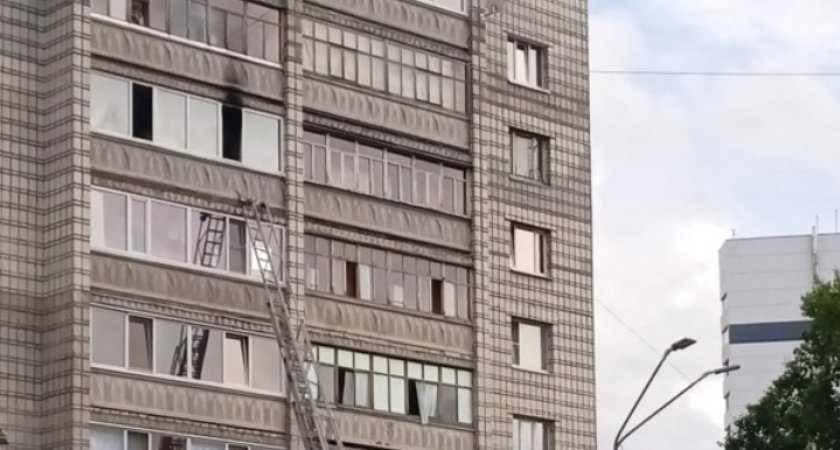 “Спасались вместе с животными”: сыктывкарка рассказала подробности пожара на Пушкина