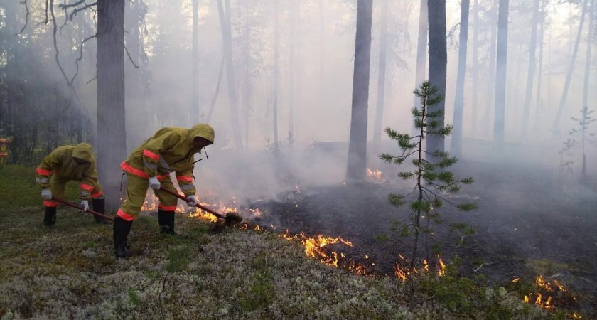 Архангельск будет тушить пожары в Коми за 18,96 миллионов рублей