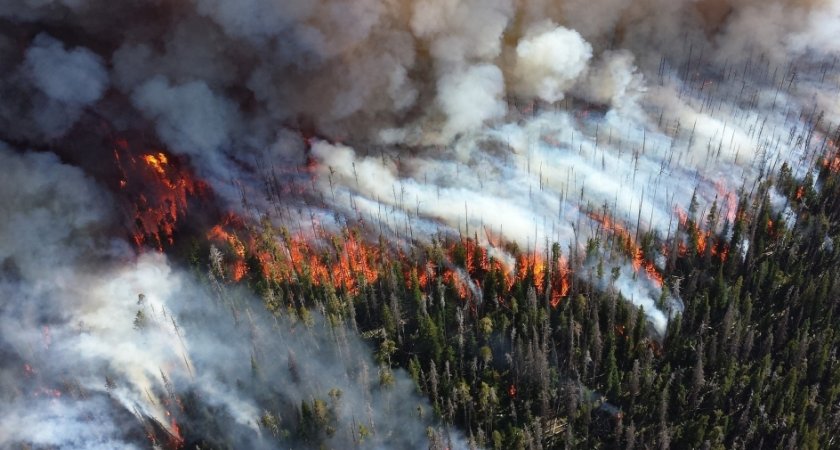 Коми может накрыть дымом от страшных пожаров в Ханты-Мансийском округе