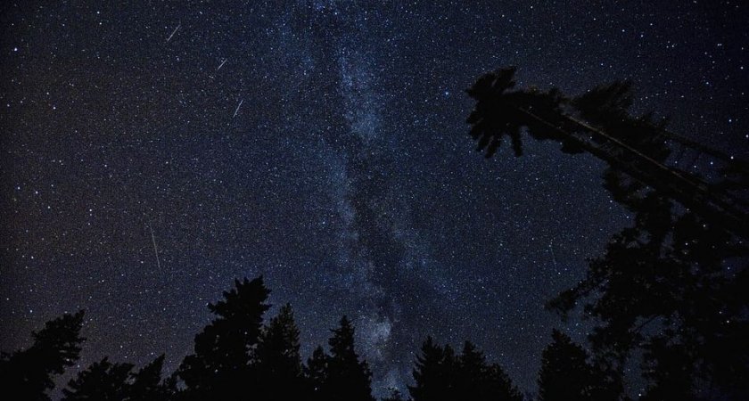 Какие дни будут самыми тяжелыми: гороскоп от Тамары Глобы на август 2022 года