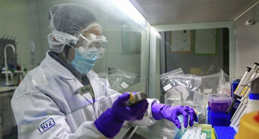 В России появился гибрид двух штаммов коронавируса