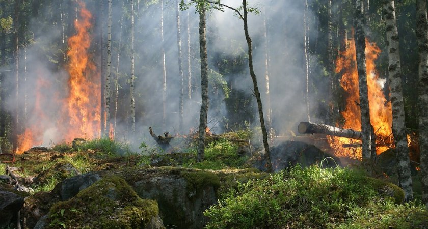 На территории Коми полыхает 18 лесных пожаров
