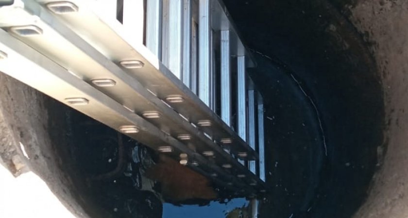 Сыктывкарские спасатели достали из колодца собаку