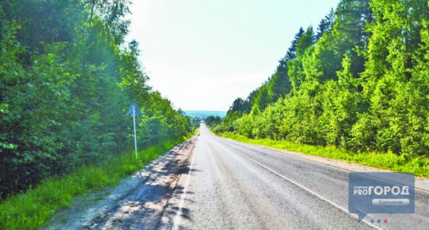 Жара и чистое небо: Синоптики дали прогноз на 24 августа в Коми