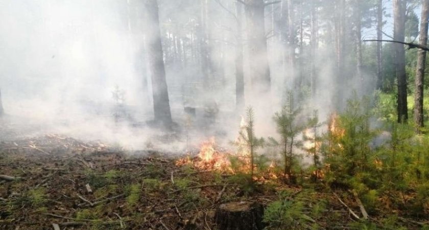 Дым от пожаров в Коми окутал Усинск