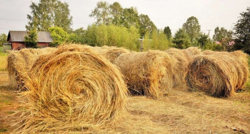В Коми от удара молнии у фермера сгорело 140 тонн сена