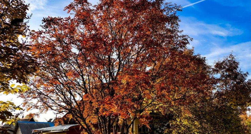 Каким будет переход от лета к осени: гороскоп на неделю с 29 августа по 4 сентября