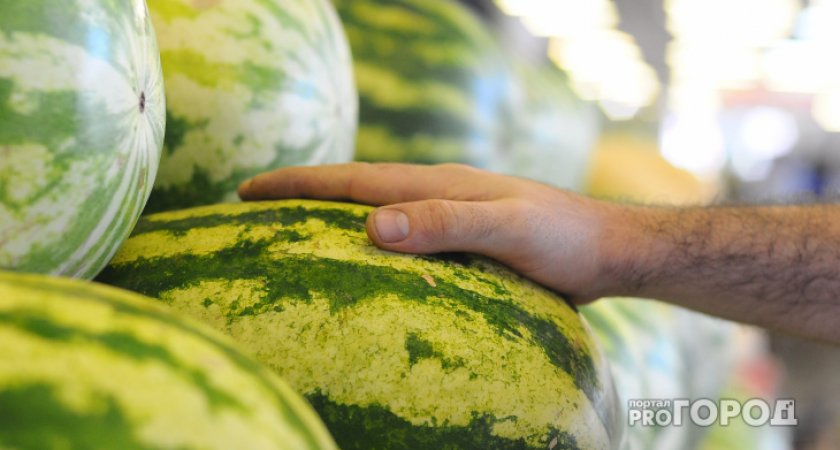 Эксперт рассказал, как выбрать сладкий арбуз и спелую дыню