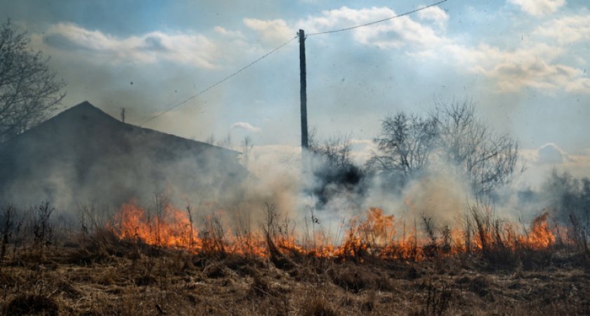 В Коми потушили последний лесной пожар