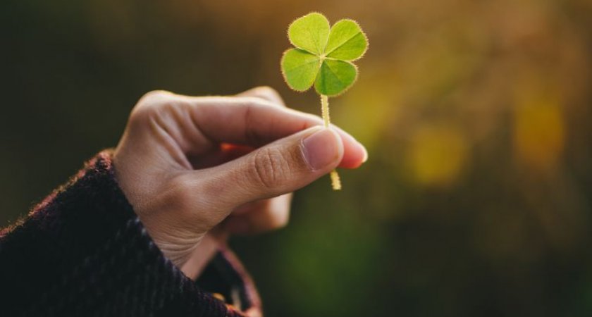 Названы три знака Зодиака, которых ждет удача в сентябре