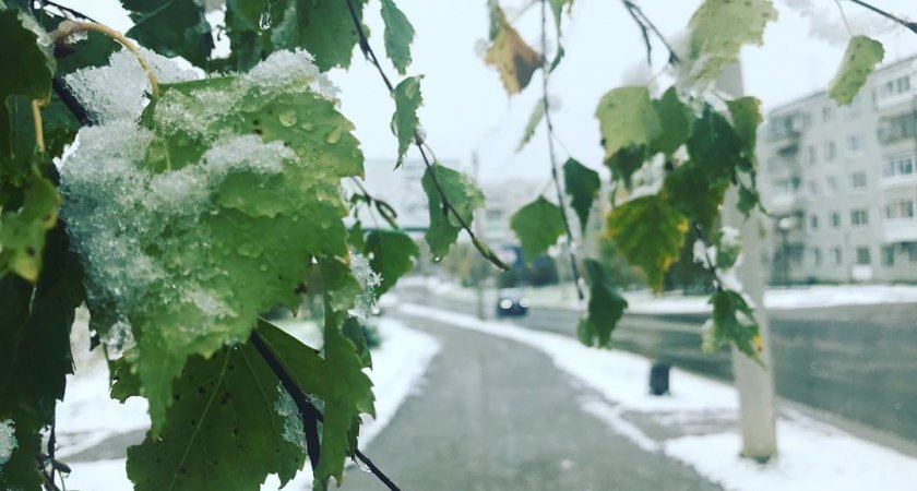 В Коми выпадет снег: прогноз погоды на 8 сентября