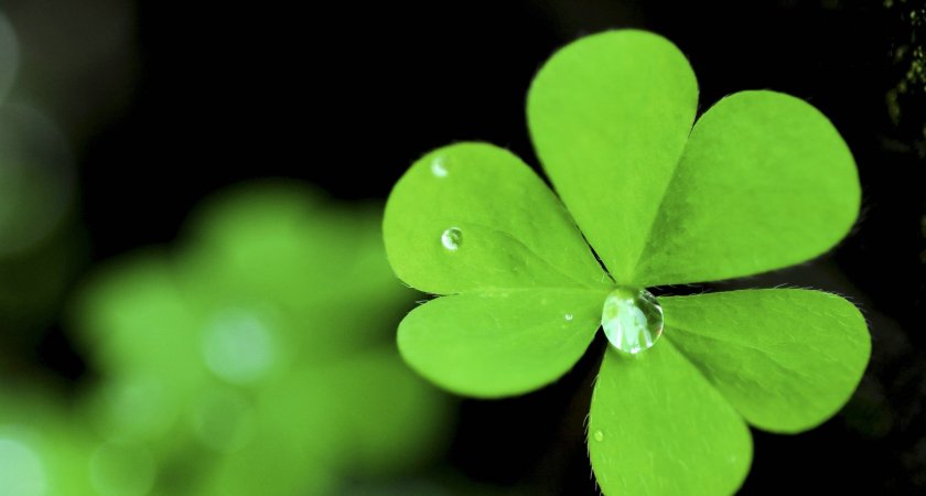 Кому улыбнется удача в эту пятницу: гороскоп на 9 сентября