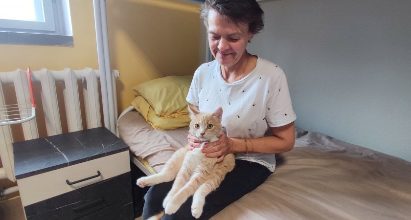 Рыжий кот Лютик помогает реабилитироваться подопечным сыктывкарского центра для бездомных