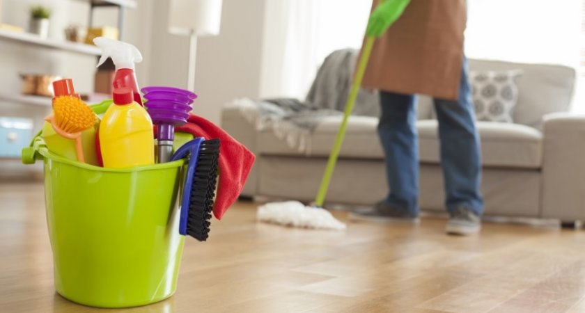 Терапевт назвала оптимальную для защиты от плесени частоту уборки в доме