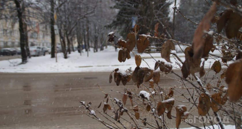 В Сыктывкаре пойдет снег: синоптики дали прогноз на 30 сентября