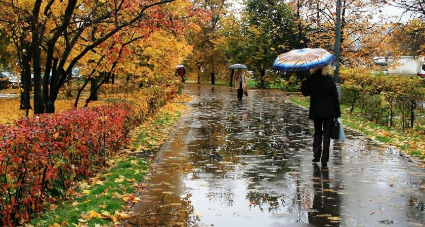 Дождливо и пасмурно: синоптики дали прогноз на 7 октября в Коми
